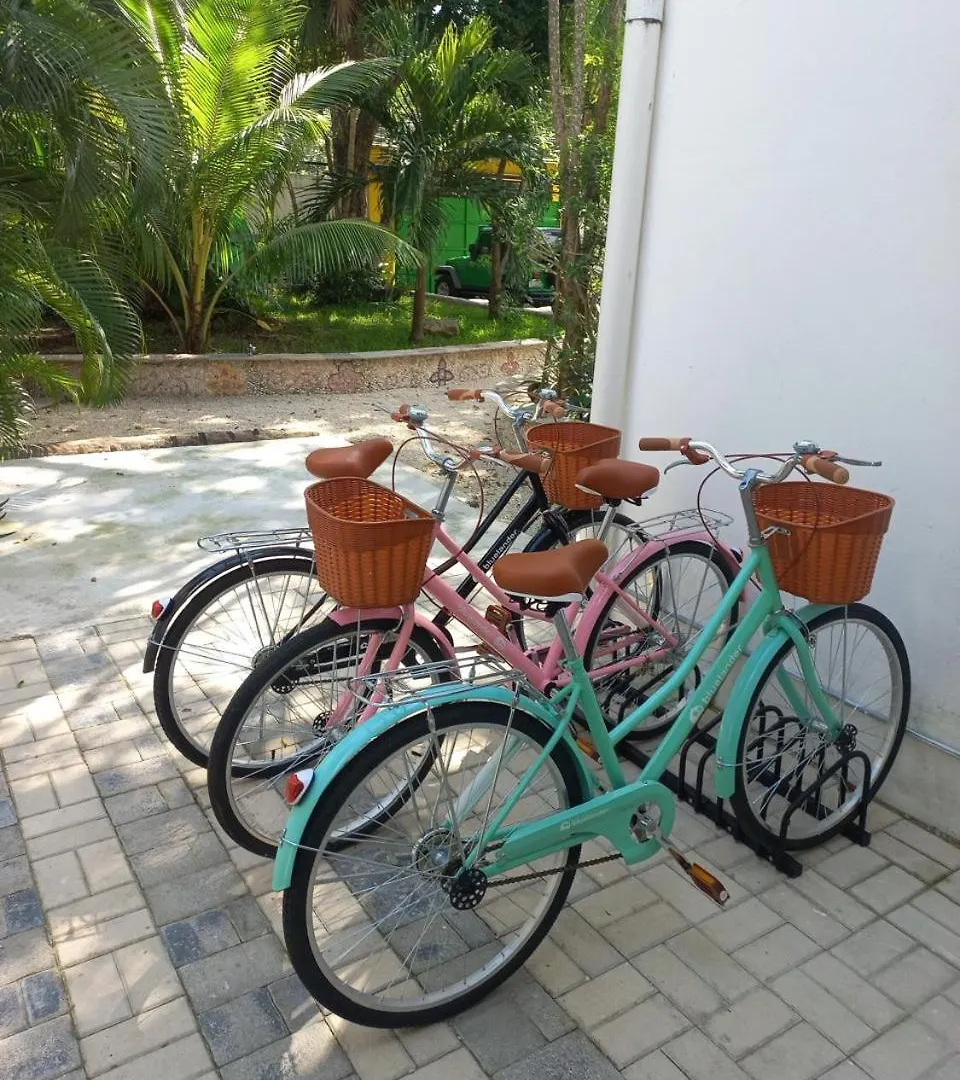 Urbaneden 'Another Day In Paradise' Playa del Carmen Mexiko